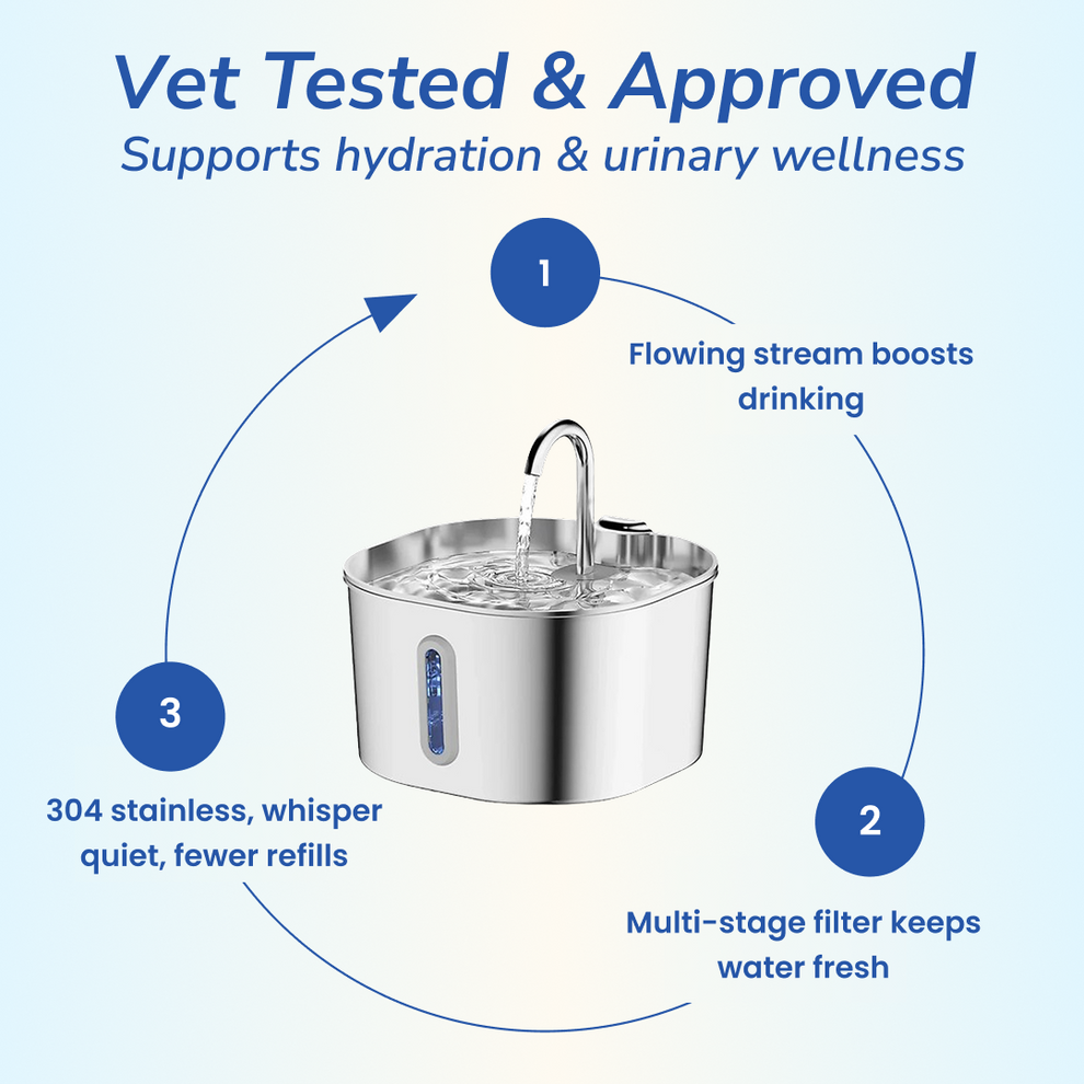 Add Years to Your Cat's Life with Purrflow's Triple-Filtration System